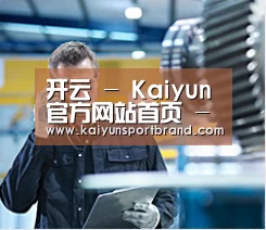 研发能力标题四