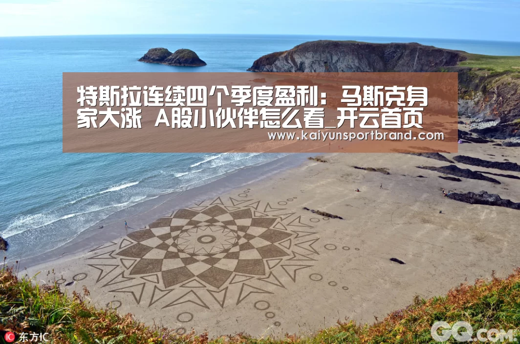 特斯拉连续四个季度盈利:马斯克身家大涨 A股小伙伴怎么看_开云首页(图1) 开云娱乐